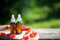 Bottles with Red currants oil, fresh berries and  leaves on a natural green background. Bioproduct, organic cosmetics Royalty Free Stock Photo