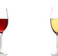 Bottles of red and white and glasses wine isolated on white Royalty Free Stock Photo