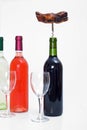 Bottles of red, white and rose wine with glasses and a corkscrew Royalty Free Stock Photo