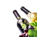 Bottles of red and white wine with fresh grape Royalty Free Stock Photo