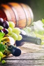 Bottles of red and white wine with fresh grape Royalty Free Stock Photo