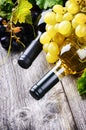 Bottles of red and white wine with fresh grape Royalty Free Stock Photo