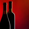 Bottles of red wine Royalty Free Stock Photo