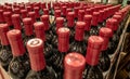 Bottles of Red Wine on Display Royalty Free Stock Photo