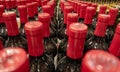 Bottles of Red Wine on Display Royalty Free Stock Photo