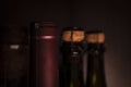 Bottles of red wine and sparkling wine on a dark background Royalty Free Stock Photo