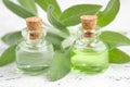 Bottles of sage essential oil, fresh green leaves of sage or salvia officinalis medicinal plants. Royalty Free Stock Photo