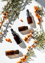 Bottles of sea buckthorn oil with a branch of sea buckthorn berries and a copy space. Royalty Free Stock Photo