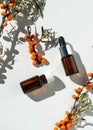 Bottles of sea buckthorn oil with a branch of sea buckthorn berries and a copy space. Royalty Free Stock Photo