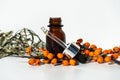 Bottles of sea buckthorn oil with a sprig of sea buckthorn berries. Royalty Free Stock Photo
