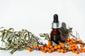 Bottles of sea buckthorn oil with a sprig of sea buckthorn berries. Royalty Free Stock Photo