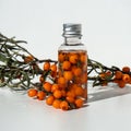 Bottles of sea buckthorn oil with a sprig of sea buckthorn berries. Royalty Free Stock Photo