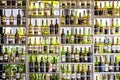 Bottles of spirits and liquor on shelves pattern Royalty Free Stock Photo