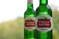 Bottles of Stella Artois beer on blurred green trees background Royalty Free Stock Photo