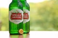 Bottles of Stella Artois beer on blurred green trees background Royalty Free Stock Photo