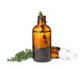 Bottles with thyme essential oil and fresh herb