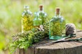 Bottles of thyme, estragon and rosemary essential oil Royalty Free Stock Photo