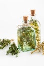 Bottles of thyme and rosemary essential oil and herbs bunches Royalty Free Stock Photo