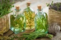 Bottles of thyme and rosemary essential oil or infusion,