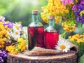 Bottles of tincture or cosmetic product and healing herbs.