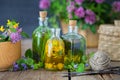 Bottles of tincture and healing herbs.