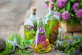 Bottles of tincture of healing herbs, scissors and medicinal herbs.