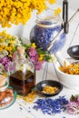 Bottles of tincture, mortar, jar of healthy herbs and scales