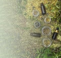 Bottles of tincture or oil and dry healthy healing herbs. Herbal medicine Royalty Free Stock Photo