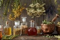 Bottles of tinctures and oils with dry herbs in a pantry Royalty Free Stock Photo