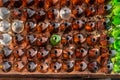 Exterior wall of the Bottle House in Lightning Ridge, Australia