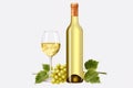 Bottles of white wine with blank front label Royalty Free Stock Photo