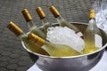 Bottles of white wine on ice at a  garden party Royalty Free Stock Photo