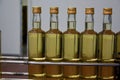 Bottles with white wine at bottling plant Royalty Free Stock Photo