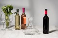 Bottles of wine, wine glases, vase with green plants and jug