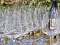 Bottles of wine and glasses with the Langhe countryside in the b Royalty Free Stock Photo