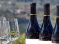 Bottles of wine and glasses with the Langhe countryside in the b Royalty Free Stock Photo