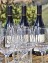 Bottles of wine and glasses with the Langhe countryside in the b Royalty Free Stock Photo