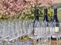 Bottles of wine and glasses with the Langhe countryside in the b Royalty Free Stock Photo