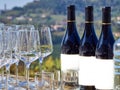 Bottles of wine and glasses with the Langhe countryside Royalty Free Stock Photo