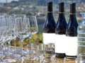 Bottles of wine and glasses with the Langhe countryside Royalty Free Stock Photo