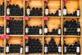 Bottles of wine in the store of Saint Emilion