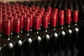 Bottles of wine in winecellar redy for packing and delivery Royalty Free Stock Photo