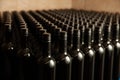 Bottles of wine in winecellar redy for packing and delivery Royalty Free Stock Photo