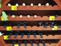 Bottles of wine in wooden shelves