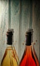 Bottles of wine ZZPelin Carpatin from Urlati Royalty Free Stock Photo