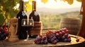 Bottles and wineglasses with grapes and barrel in vineyard scene background Royalty Free Stock Photo
