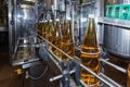 Bottling of drinks - bottling plant