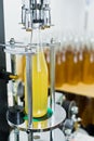 Bottling factory - Beer bottling line for processing and bottling beer into bottles. Royalty Free Stock Photo