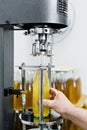 Bottling factory - Beer bottling line for processing and bottling beer into bottles. Royalty Free Stock Photo