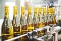 Bottling and seaaling conveyor line at winery factory Royalty Free Stock Photo